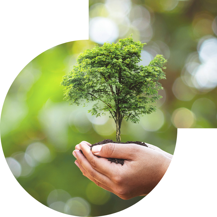 關懷人類、文化、環境與社會